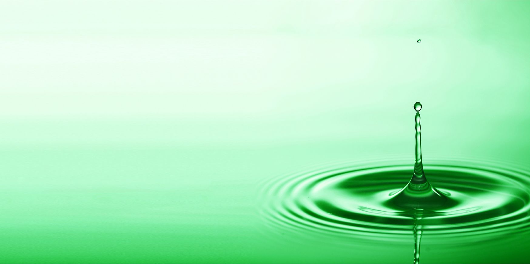 banner of Advocate for Aging Adults website - a drop of water